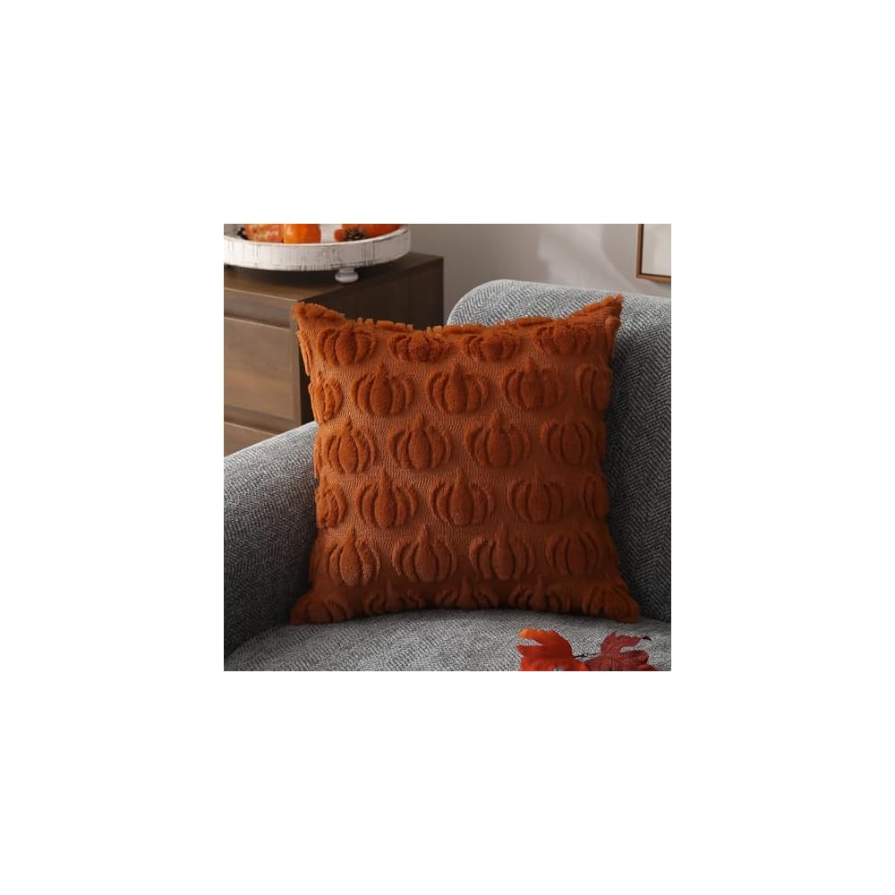 Fall Pillow Covers 18x18 2Pcs Rust Pumpkin Fall Decorations for Home