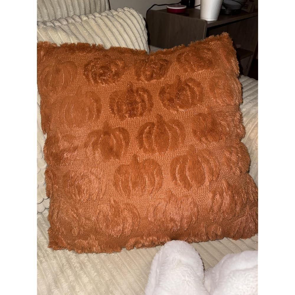 Fall Pillow Covers 18x18 2Pcs Rust Pumpkin Fall Decorations for Home