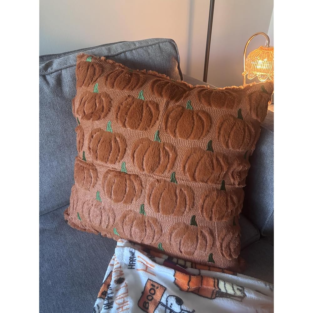 Fall Pillow Covers 18x18 2Pcs Rust Pumpkin Fall Decorations for Home